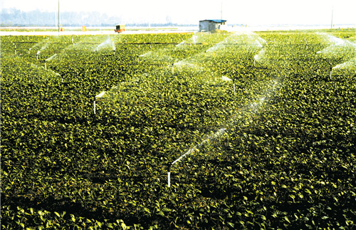 1649805671813804.jpg 微信圖片_20220412214944.jpg